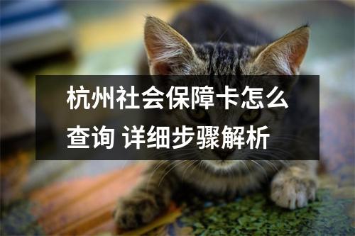 杭州社会保障卡怎么查询 详细步骤解析