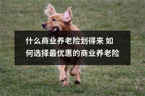 什么商业养老险划得来 如何选择最优惠的商业养老险