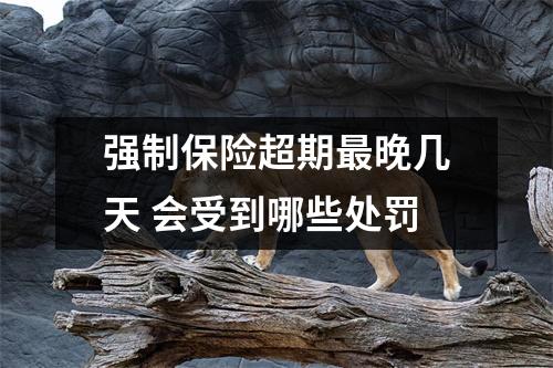 强制保险超期最晚几天 会受到哪些处罚