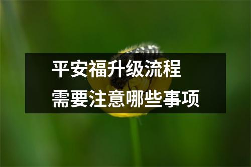 平安福升级流程 需要注意哪些事项