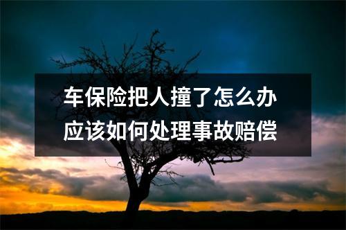 车保险把人撞了怎么办 应该如何处理事故赔偿