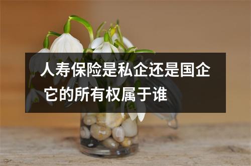 人寿保险是私企还是国企 它的所有权属于谁