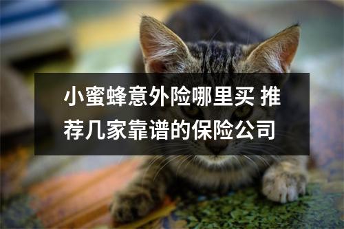 小蜜蜂意外险哪里买 推荐几家靠谱的保险公司