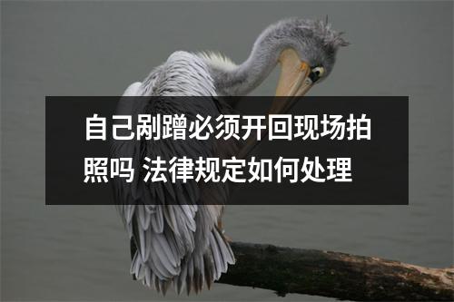 自己剐蹭必须开回现场拍照吗 法律规定如何处理