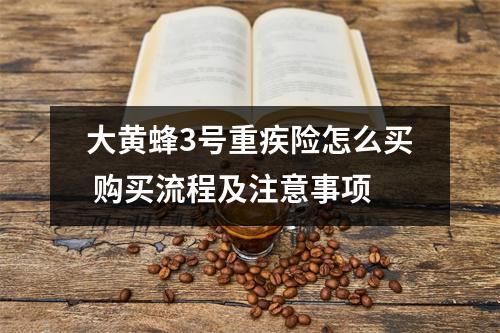 大黄蜂3号重疾险怎么买 购买流程及注意事项
