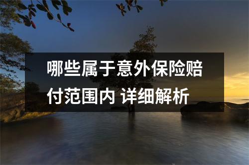 哪些属于意外保险赔付范围内 详细解析