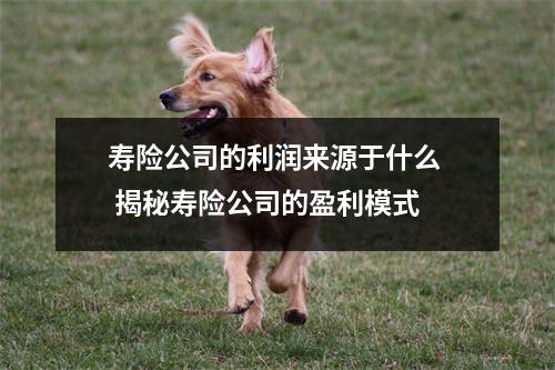 寿险公司的利润来源于什么  揭秘寿险公司的盈利模式