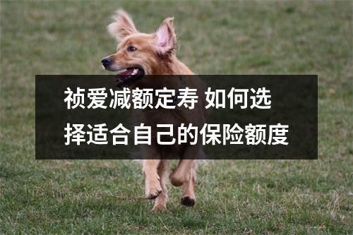 祯爱减额定寿 如何选择适合自己的保险额度