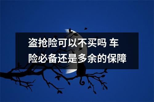 盗抢险可以不买吗 车险必备还是多余的保障