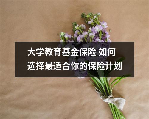 大学教育基金保险 如何选择最适合你的保险计划