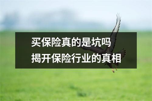 买保险真的是坑吗 揭开保险行业的真相