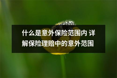 什么是意外保险范围内 详解保险理赔中的意外范围