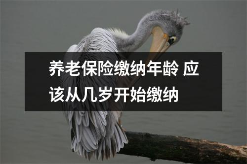 养老保险缴纳年龄 应该从几岁开始缴纳 