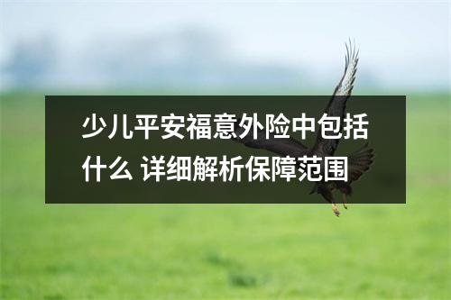 少儿平安福意外险中包括什么 详细解析保障范围