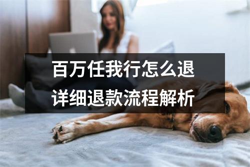 百万任我行怎么退 详细退款流程解析