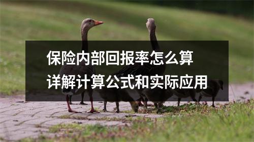 保险内部回报率怎么算 详解计算公式和实际应用