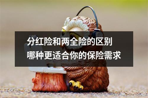 分红险和两全险的区别 哪种更适合你的保险需求