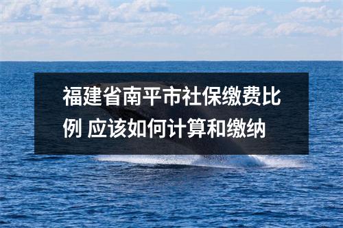 福建省南平市社保缴费比例 应该如何计算和缴纳