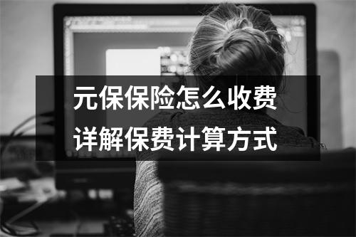元保保险怎么收费 详解保费计算方式