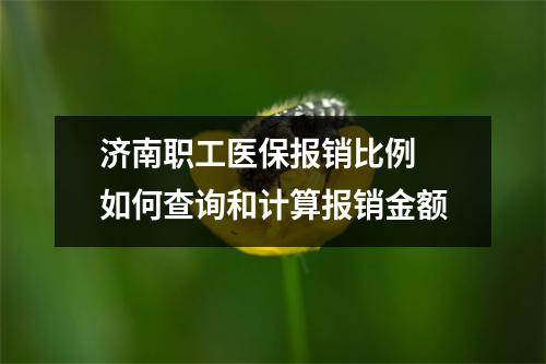 济南职工医保报销比例 如何查询和计算报销金额