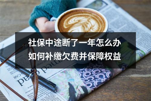 社保中途断了一年怎么办 如何补缴欠费并保障权益