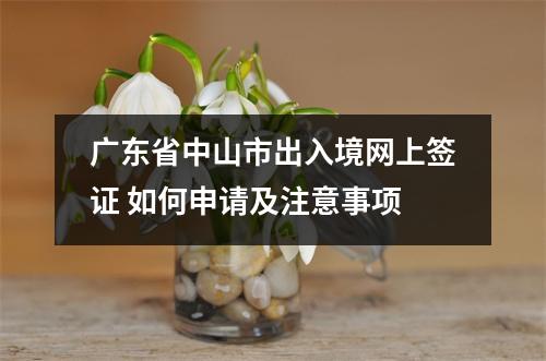 广东省中山市出入境网上签证 如何申请及注意事项