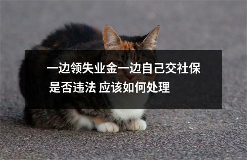 一边领失业金一边自己交社保 是否违法 应该如何处理 