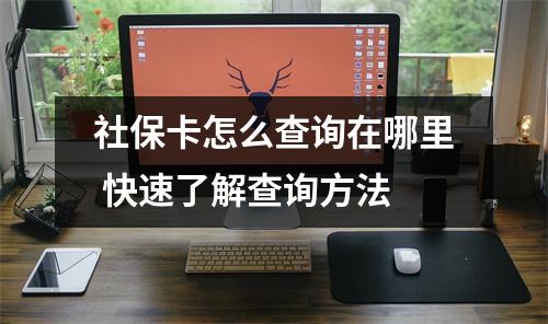 社保卡怎么查询在哪里 快速了解查询方法