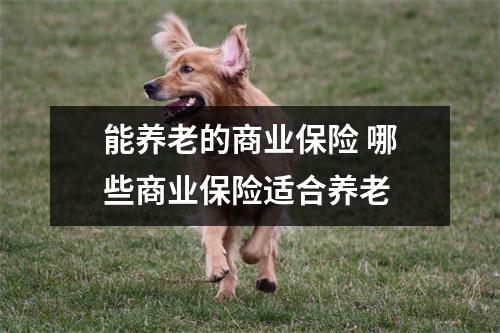 能养老的商业保险 哪些商业保险适合养老 