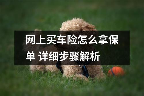 网上买车险怎么拿保单 详细步骤解析