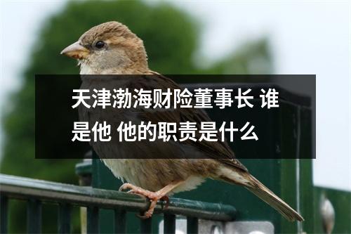 天津渤海财险董事长 谁是他 他的职责是什么 