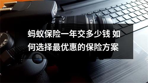 蚂蚁保险一年交多少钱 如何选择最优惠的保险方案