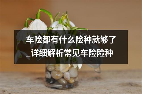 车险都有什么险种就够了_详细解析常见车险险种