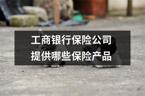 工商银行保险公司 提供哪些保险产品 
