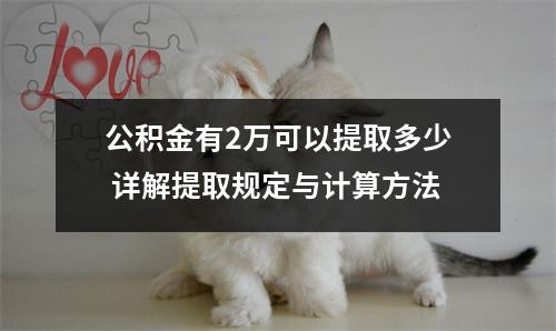 公积金有2万可以提取多少 详解提取规定与计算方法