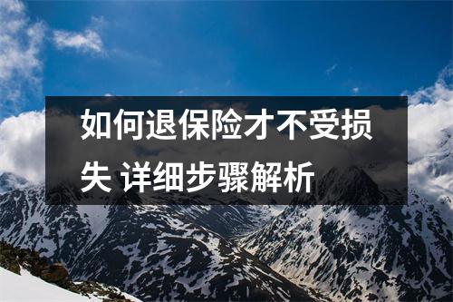 如何退保险才不受损失 详细步骤解析
