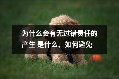 为什么会有无过错责任的产生 是什么、如何避免