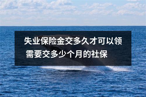 失业保险金交多久才可以领 需要交多少个月的社保