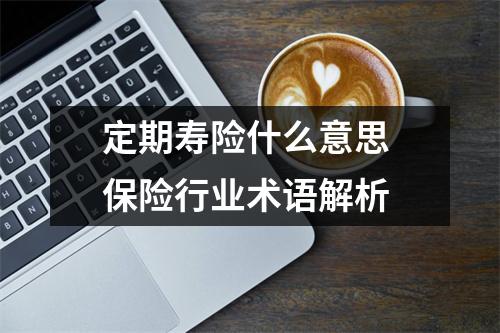 定期寿险什么意思 保险行业术语解析