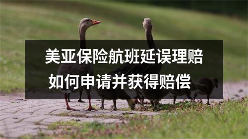 美亚保险航班延误理赔 如何申请并获得赔偿