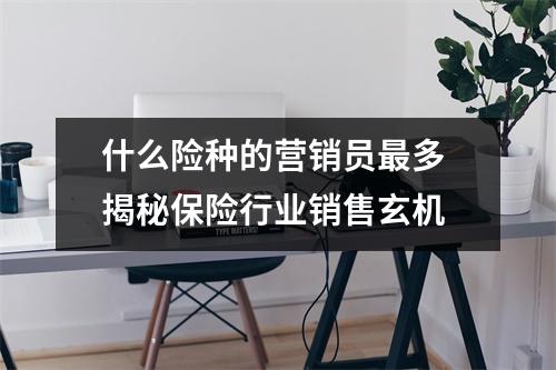 什么险种的营销员最多 揭秘保险行业销售玄机