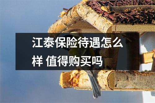 江泰保险待遇怎么样 值得购买吗 
