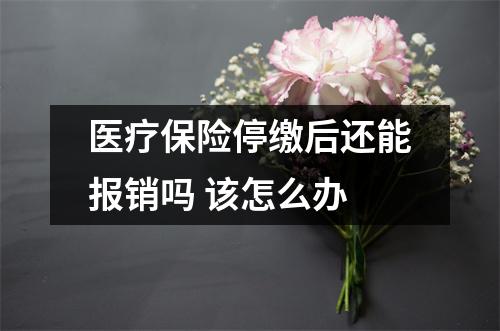 医疗保险停缴后还能报销吗 该怎么办