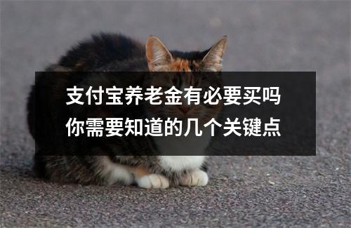 支付宝养老金有必要买吗 你需要知道的几个关键点