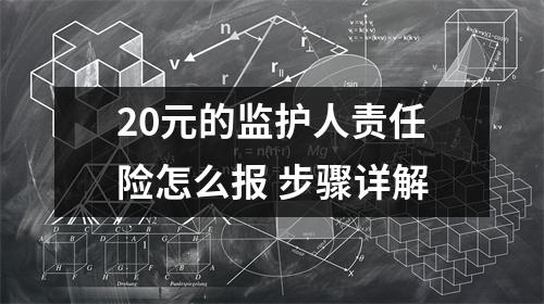 20元的监护人责任险怎么报 步骤详解