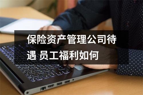 保险资产管理公司待遇 员工福利如何