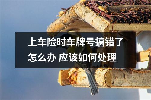 上车险时车牌号搞错了怎么办 应该如何处理