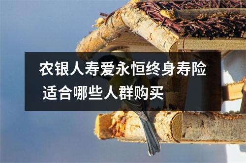 农银人寿爱永恒终身寿险 适合哪些人群购买
