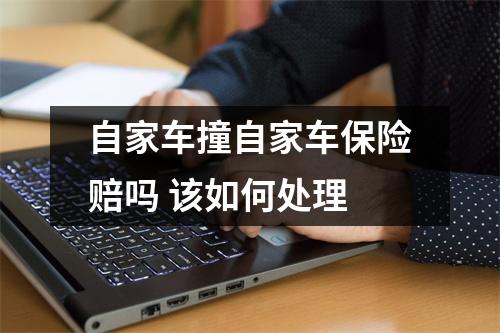 自家车撞自家车保险赔吗 该如何处理