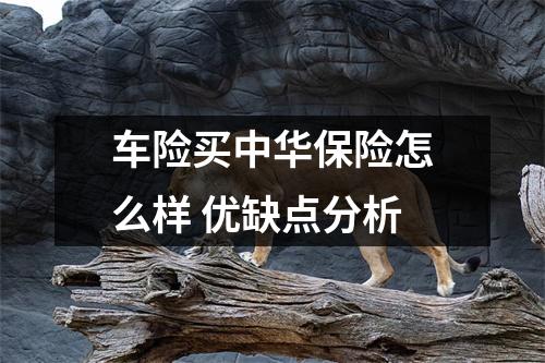 车险买中华保险怎么样 优缺点分析